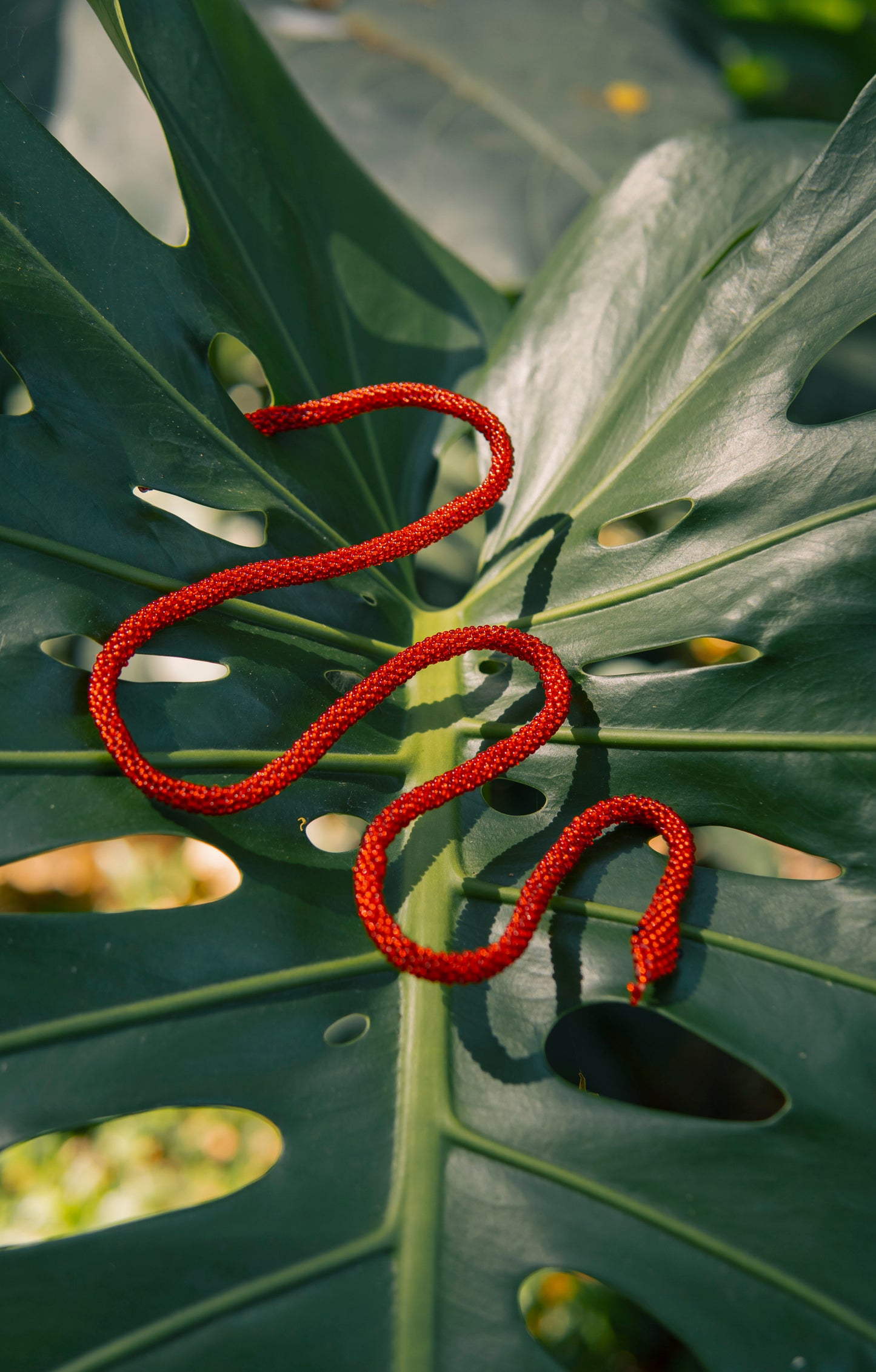 Brazalete de Serpiente - ROJO