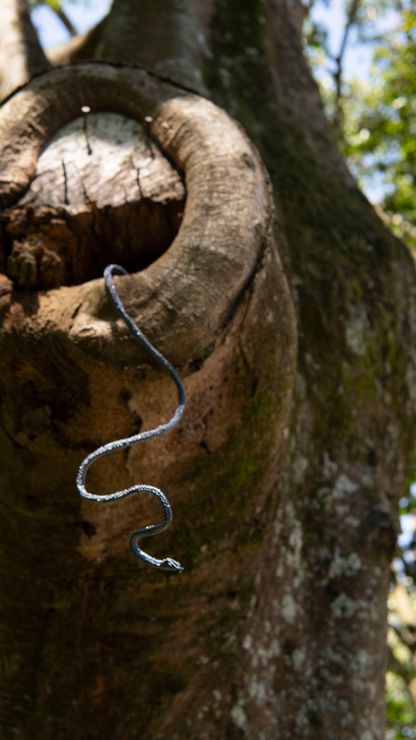 Brazalete de Serpiente - NEGRO CLELIA