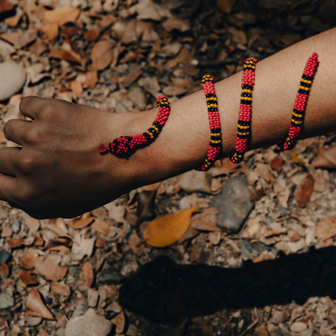 Brazalete de Serpiente – Coral acuática | Micrurus surinamensis