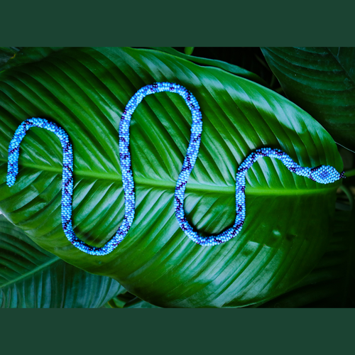 Brazalete de Serpiente – Azul Cielo | Trimeresurus trigonocephalus