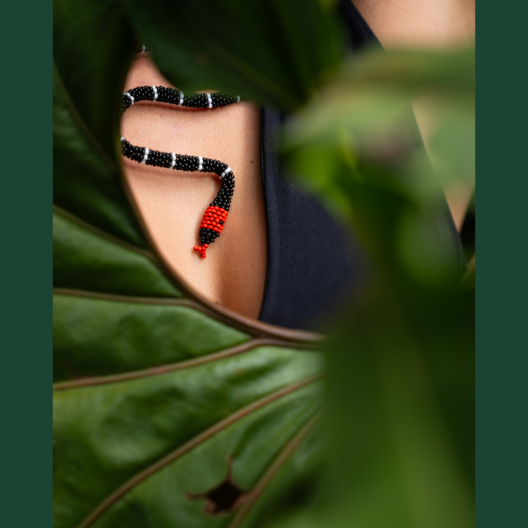 Brazalete de Serpiente – Coral Rabo de Ají | Micrurus mipartitus
