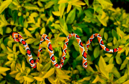 Brazalete de Serpiente - PITON RETICULADA