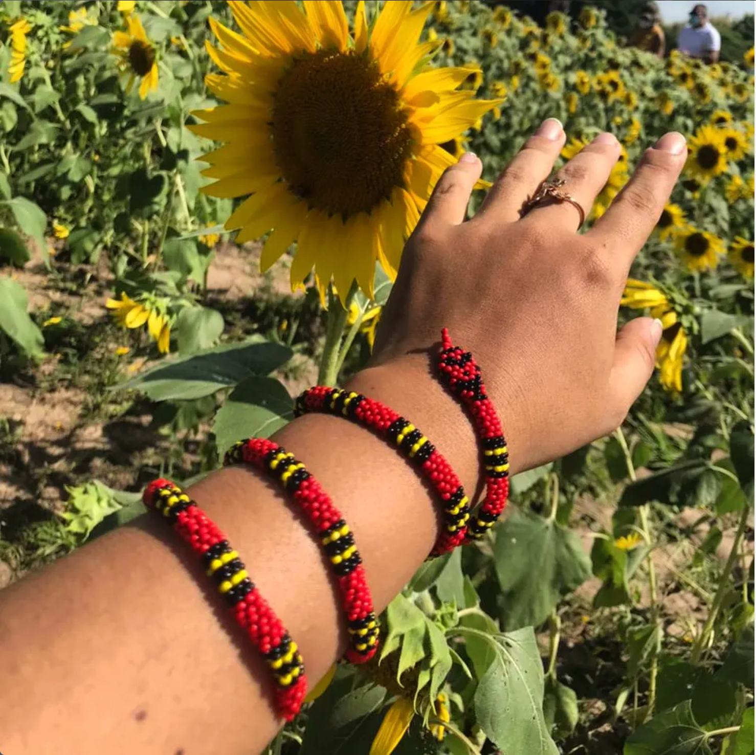 Brazalete de Serpiente – Coral acuática | Micrurus surinamensis