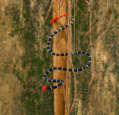 Brazalete de Serpiente - CORAL RABO DE AJÍ