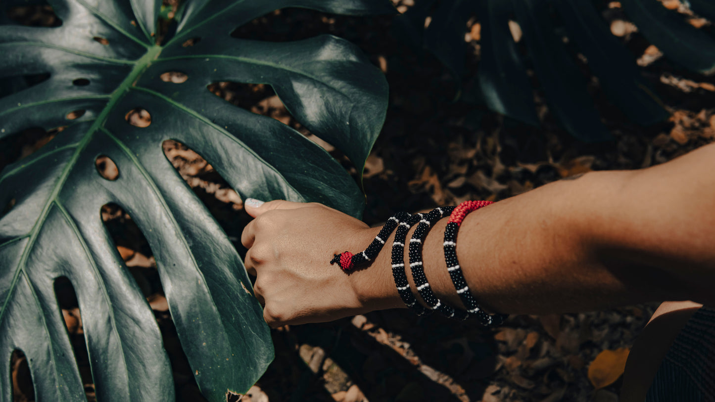 Brazalete de Serpiente - CORAL RABO DE AJÍ