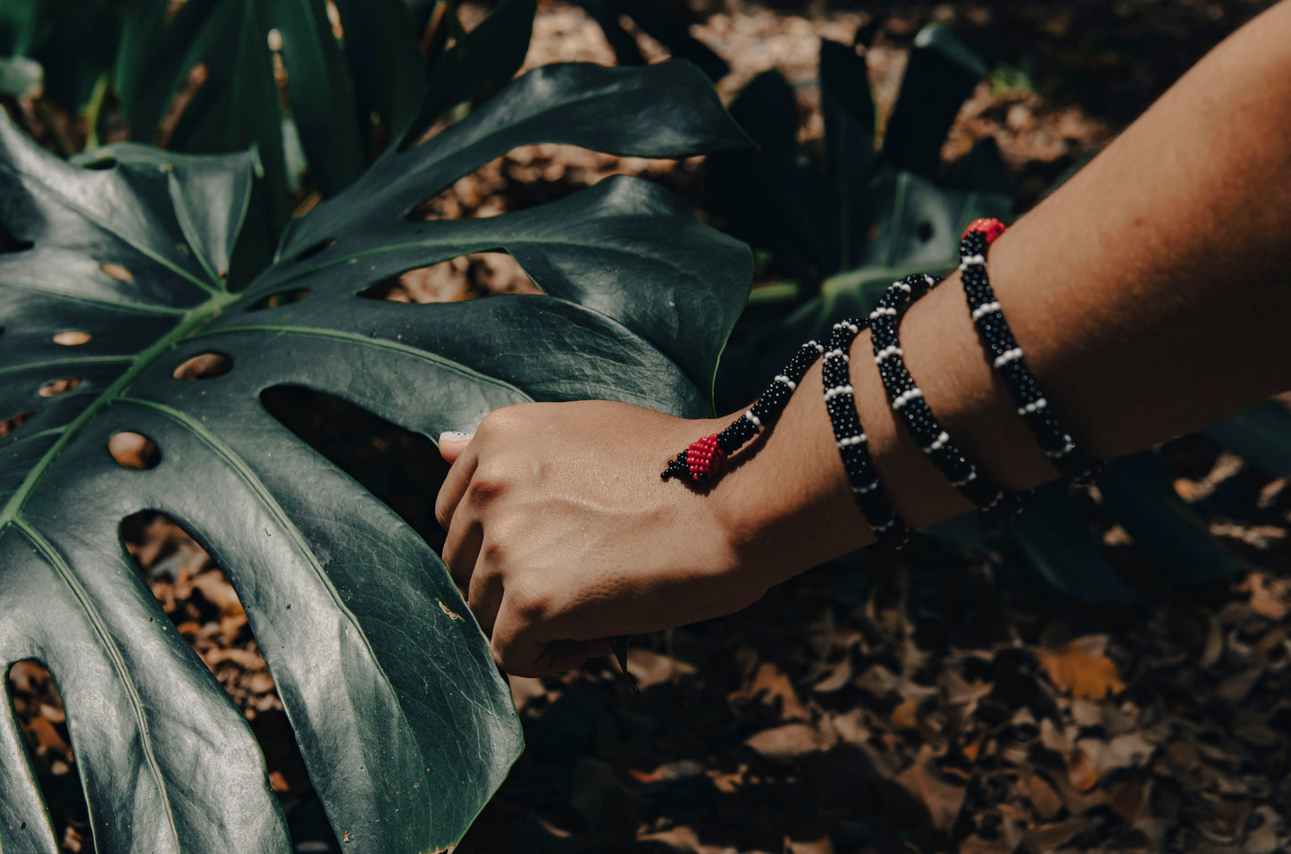 Brazalete de Serpiente - CORAL RABO DE AJÍ