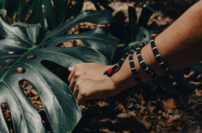 Brazalete de Serpiente - CORAL RABO DE AJÍ
