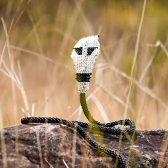 Brazalete de Serpiente – Cobra real | Ophiophagus hannah